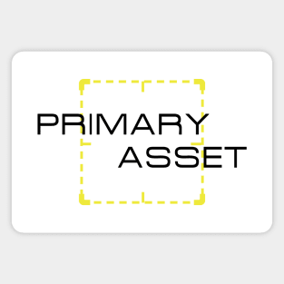 Primary Asset Magnet